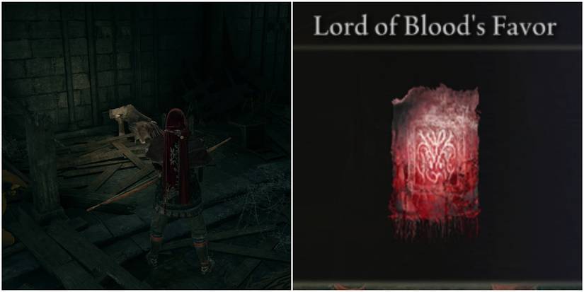 Elden Ring Split Image The Bloody Finger Seventh Step