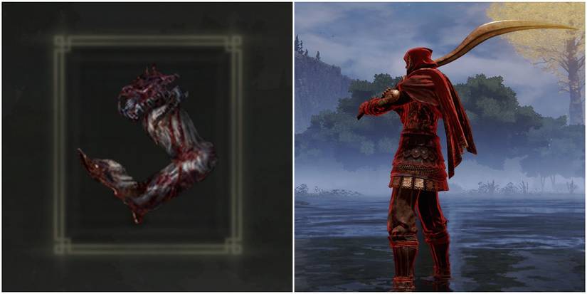 Elden Ring Split Image The Bloody Finger Third Step