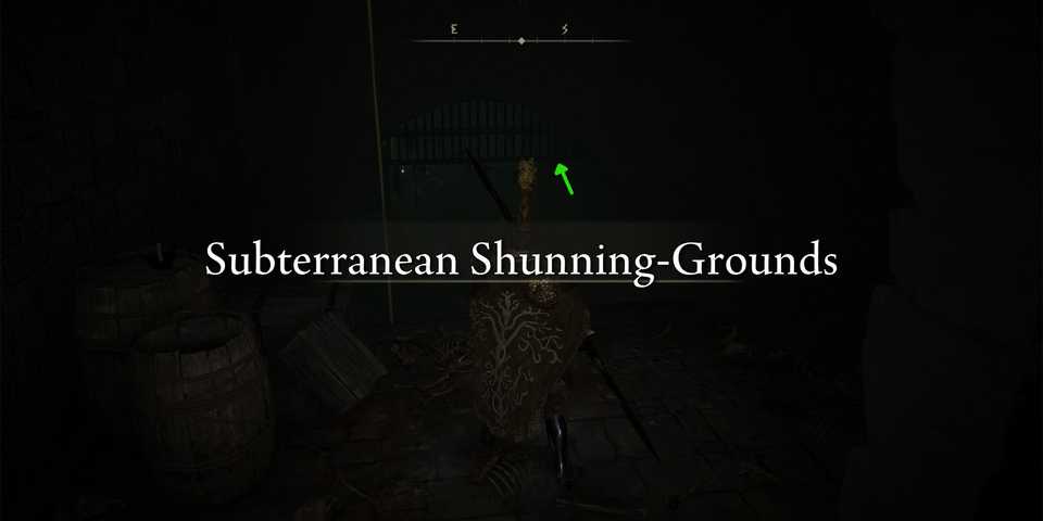 Elden Ring Subterranean Shunning Grounds