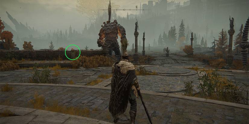 Elden Ring Talking Rya Altus