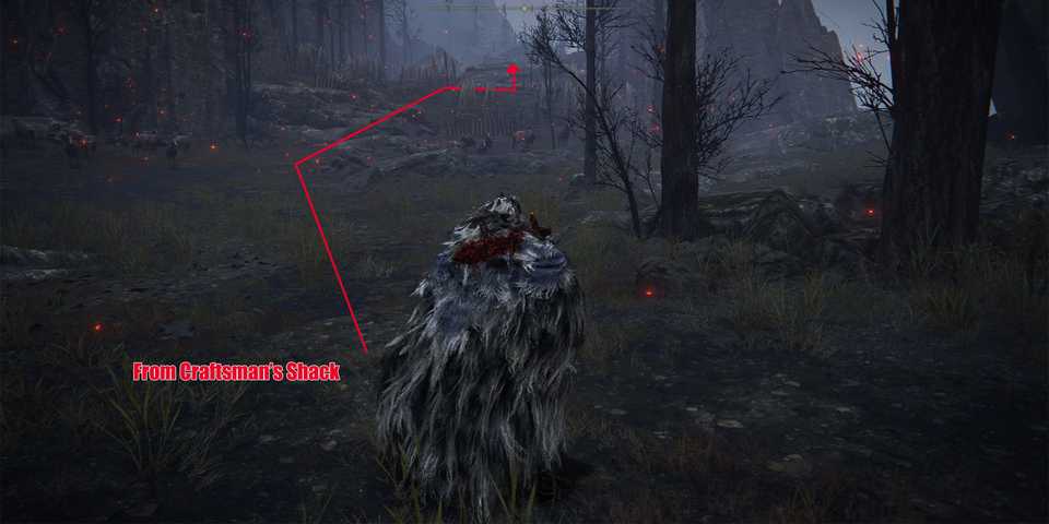 Elden Ring To Hero From Craftsmans Shack