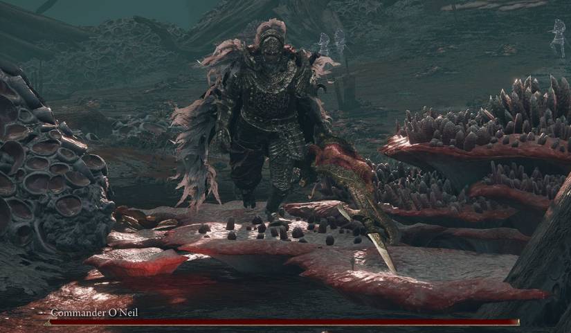 Elden Ring_Commander Oneil