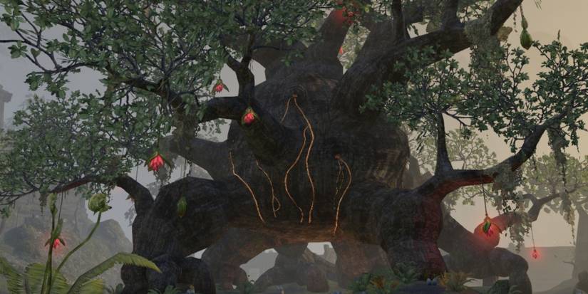 Hist tree The Elder Scrolls Online