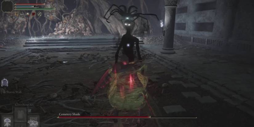 Fighting cemetery ash in Elden Ring