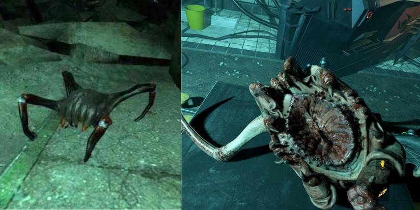 Half Life Headcrabs