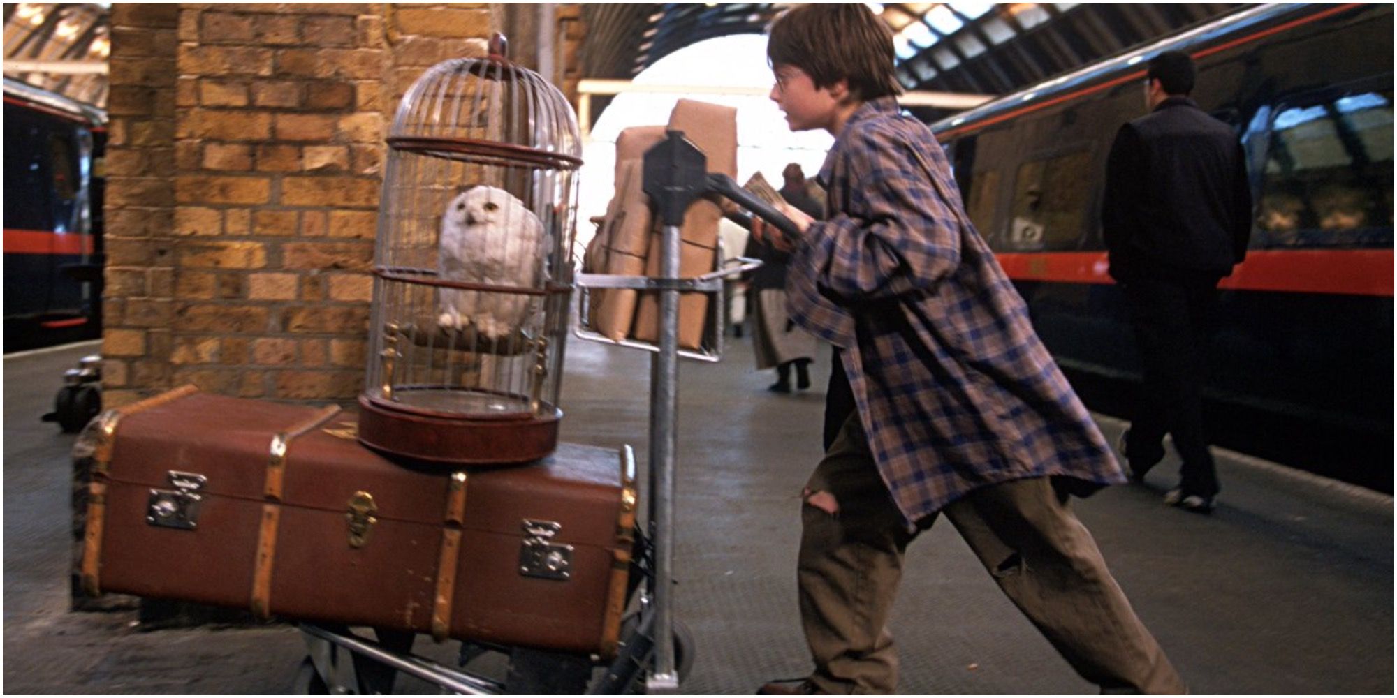 Harry Potter at Train Station With Hedwig and Trolley