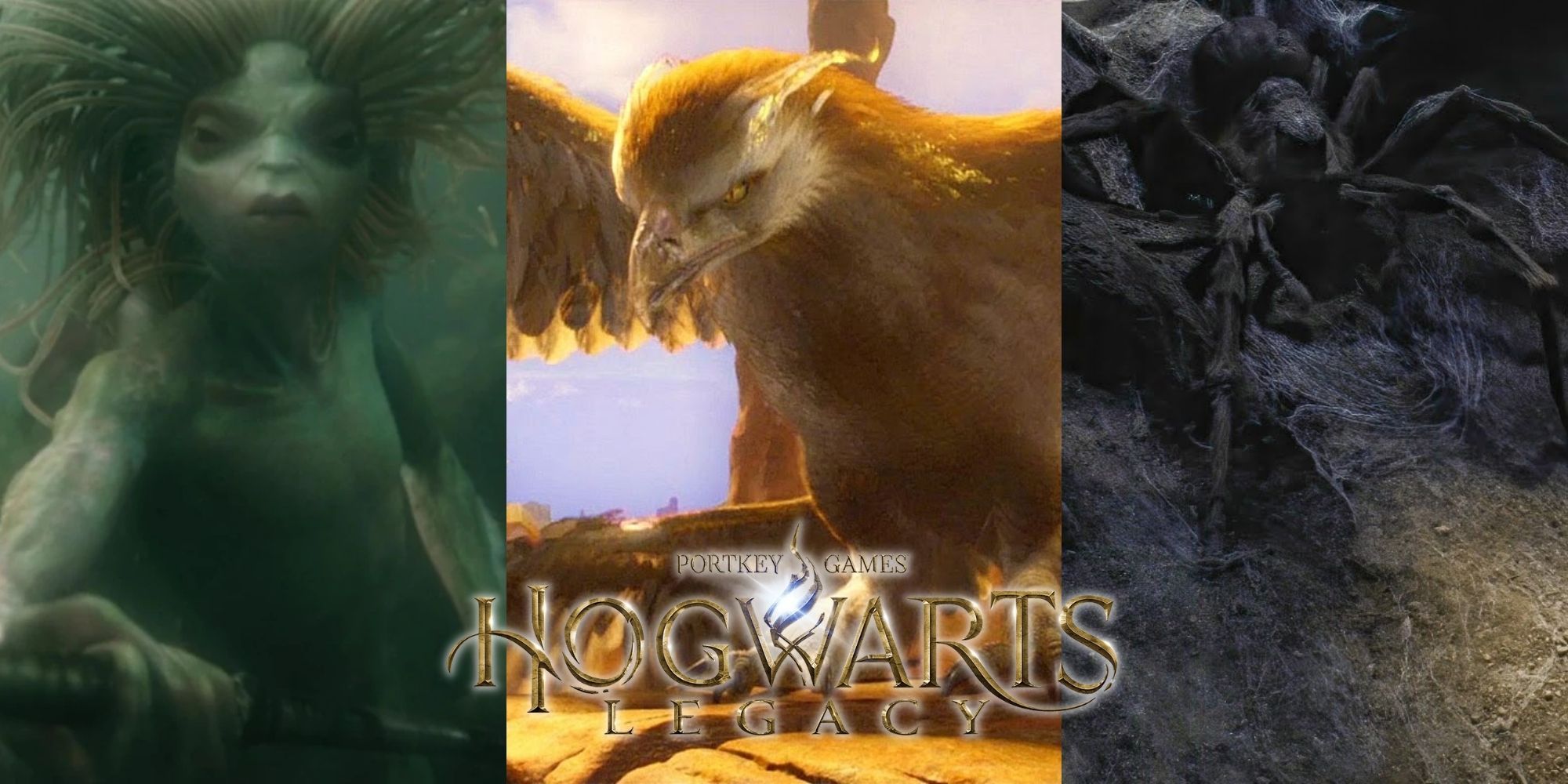 Hogwarts Legacy X Magical Creatures That Would Make Great Bosses Monster Hunter Hogwarts  Cover