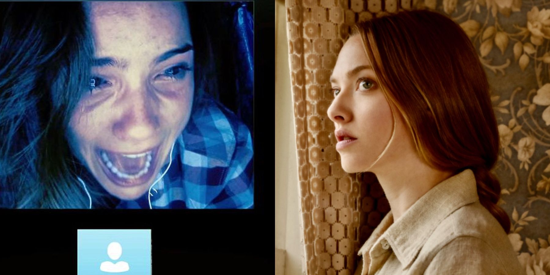 Blair (Shelly Henning) in Unfriended and Catherine (Amanda Seyfried) in Things Heard And Seen
