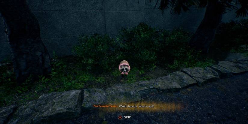 KamioTanuki_1800x900