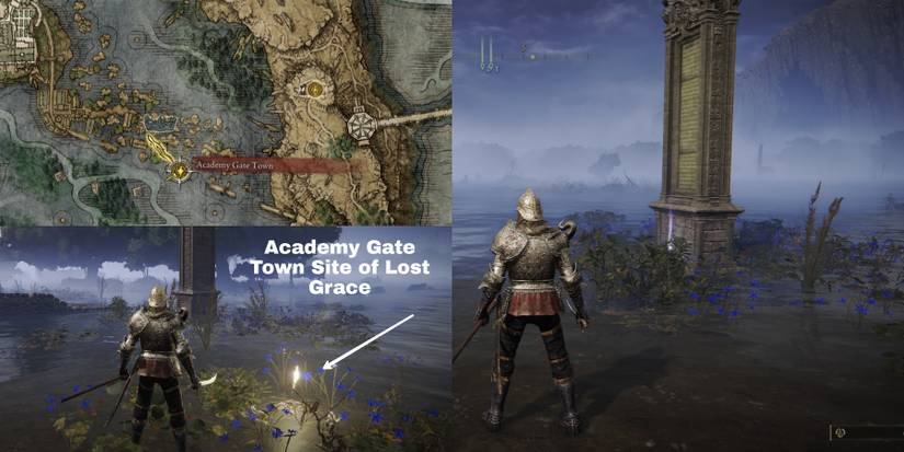 Map (Liurnia, North) location in elden ring