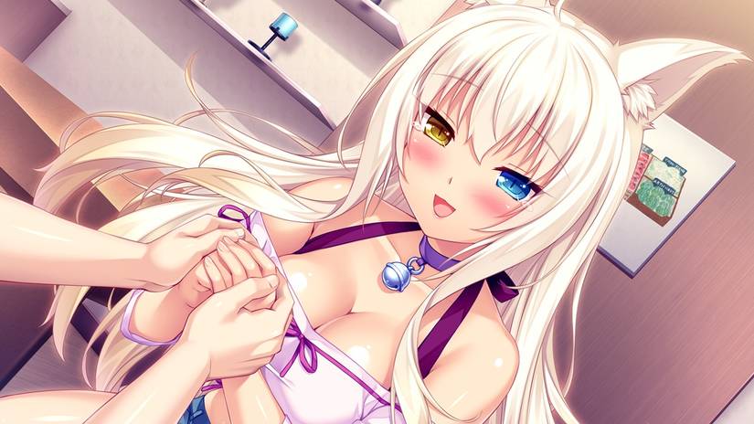 Nekopara-boobs