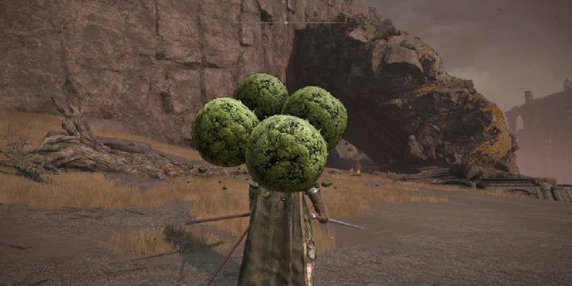 Neutralizing Boluses Crafting Item from Elden Ring.