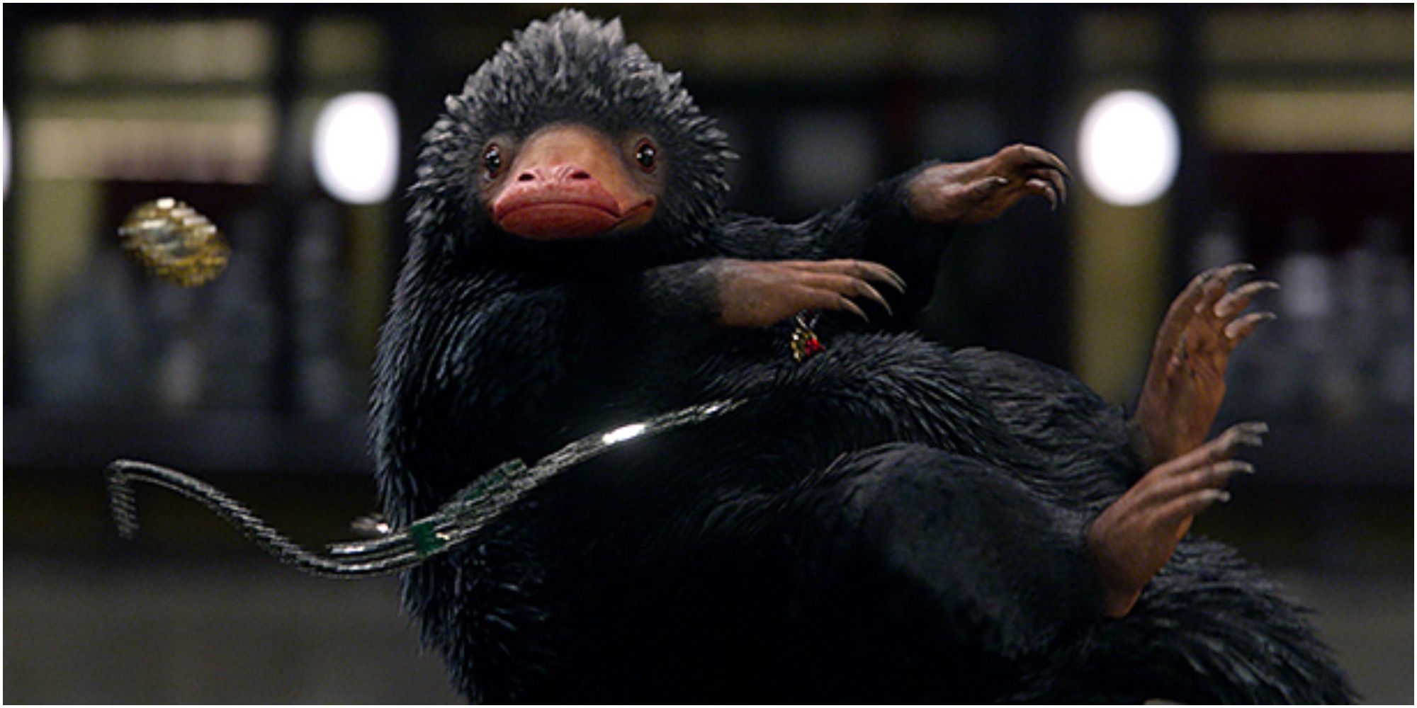 Niffler Magical Creature from Fantastic Beasts and Where to Find them