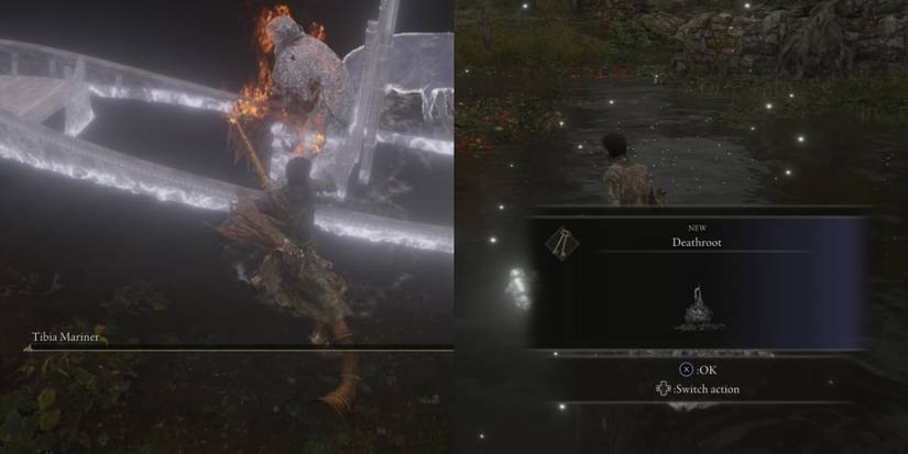 Obtaining a deathroot in Elden Ring