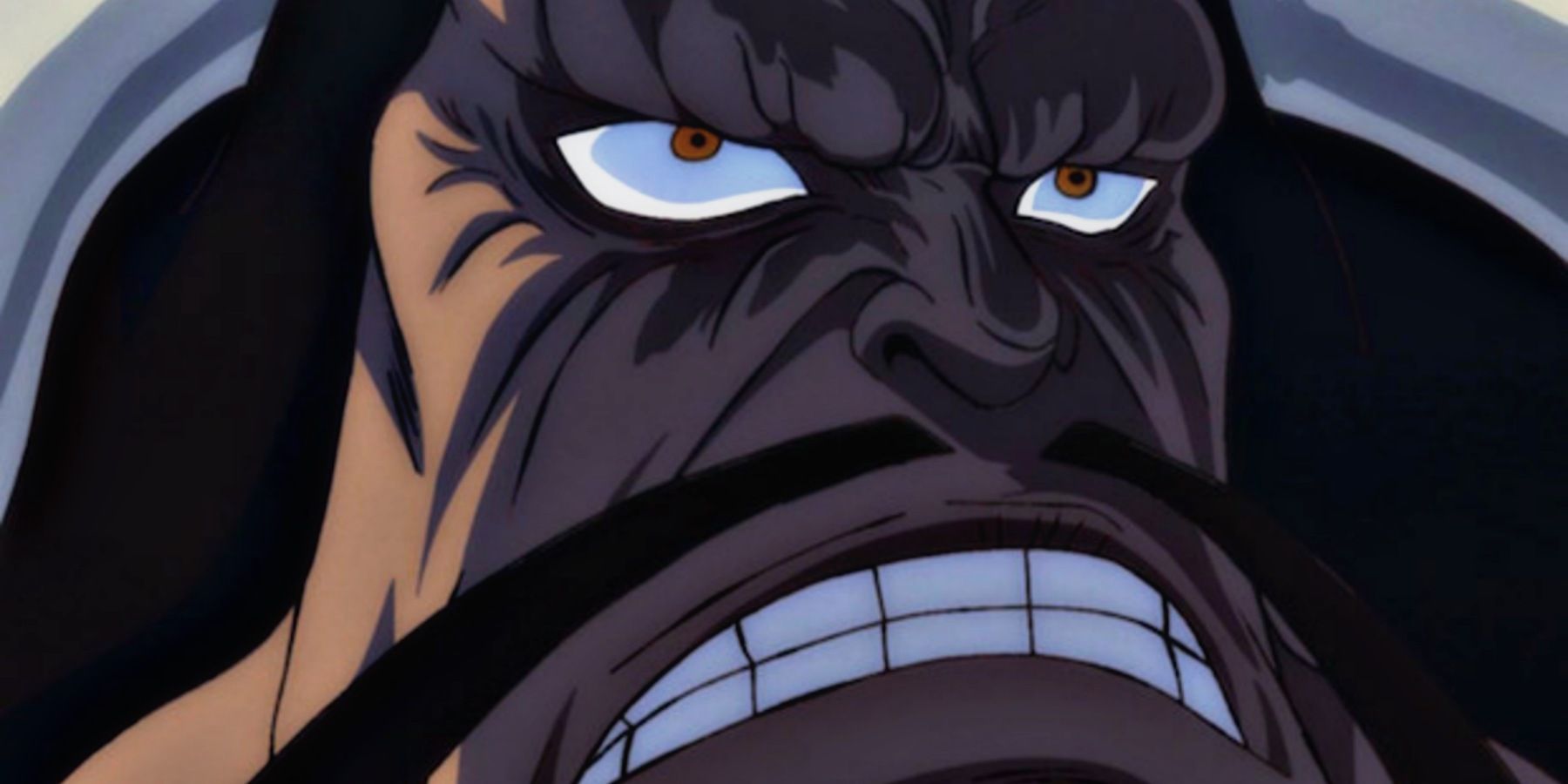 One Piece Kaido Future Sight Haki