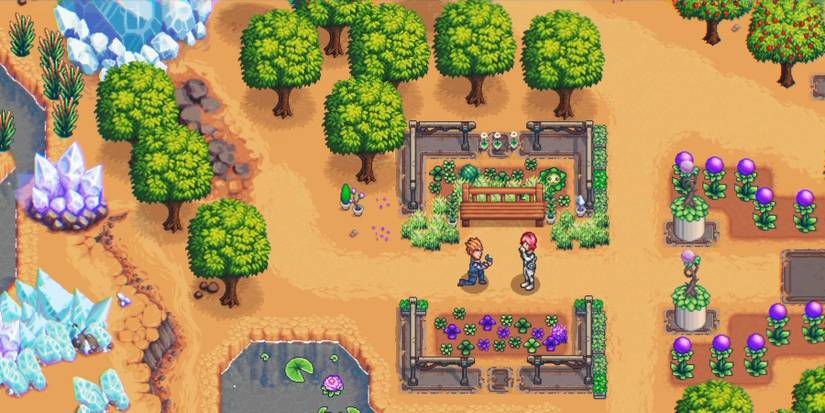 One-lonely-outpost-farmer-proposing-to-npc-near-crops