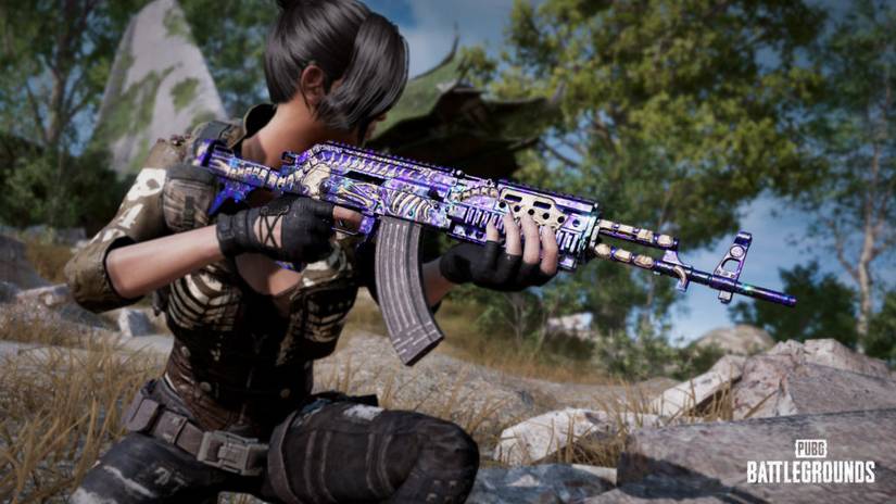 Player with Customized Weapon