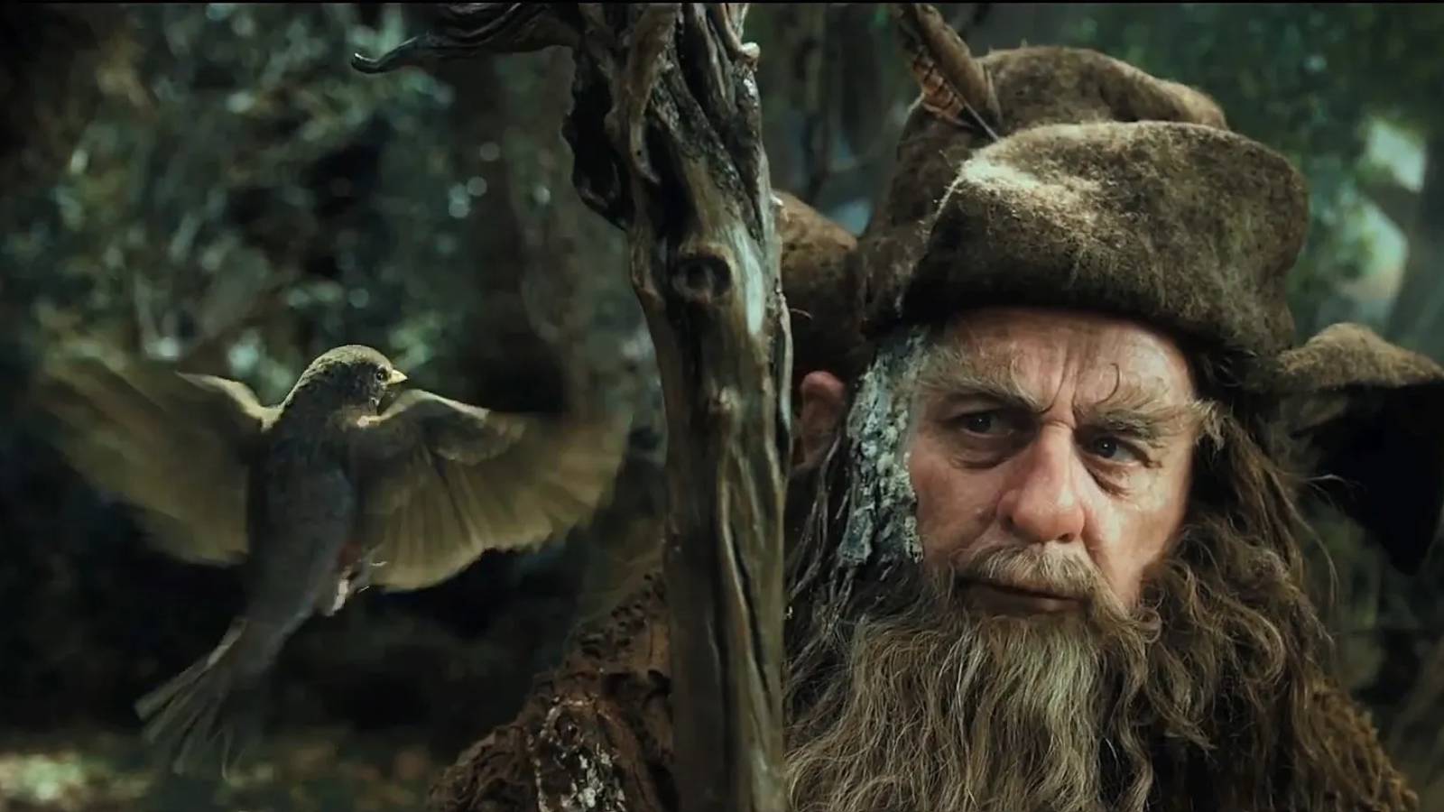 Radagast and the bird