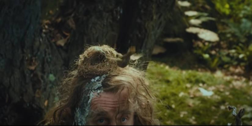 Radagast birds nest