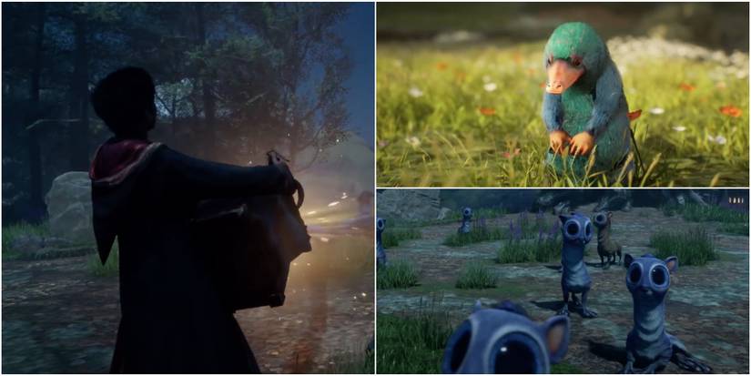 Screenshot of Hogwarts Legacy  Magical Beasts to Rescue