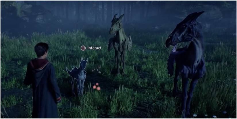 Screenshot of Hogwarts Legacy Player with Thesdrals