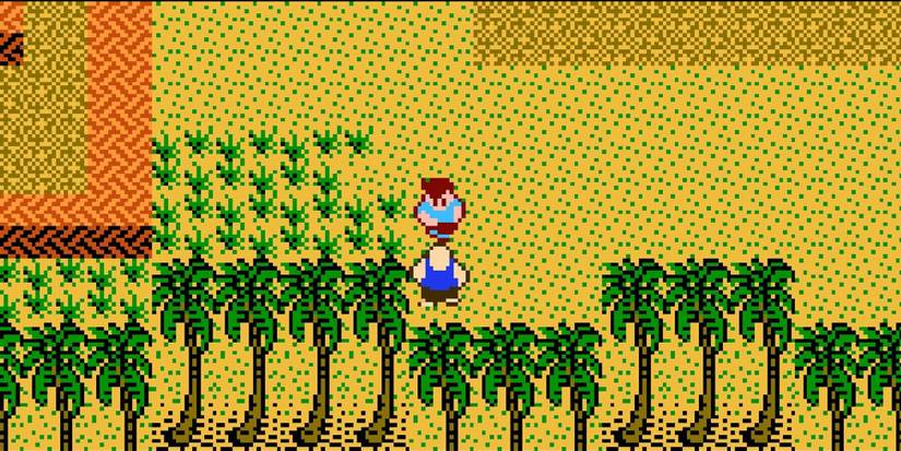 StarTropics