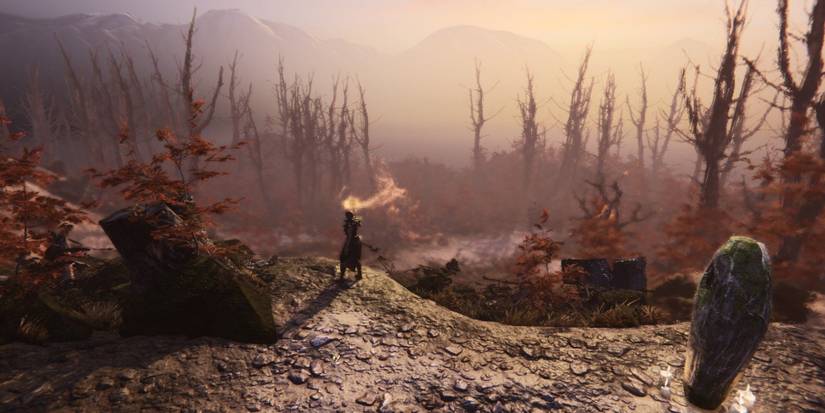 Tainted Grail - Standing at a cliff