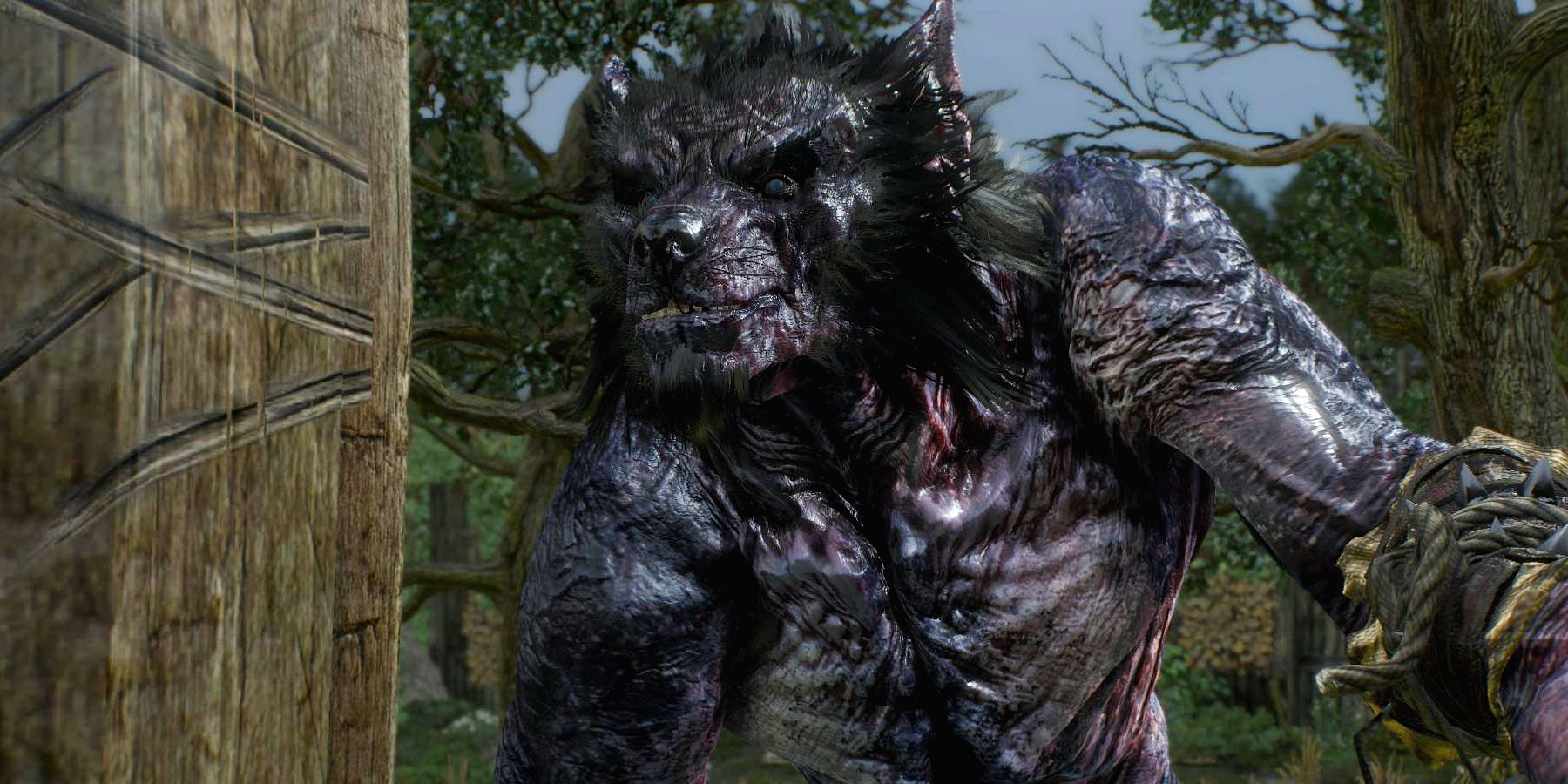 The Witcher 3 wild hunt werewolf closeup
