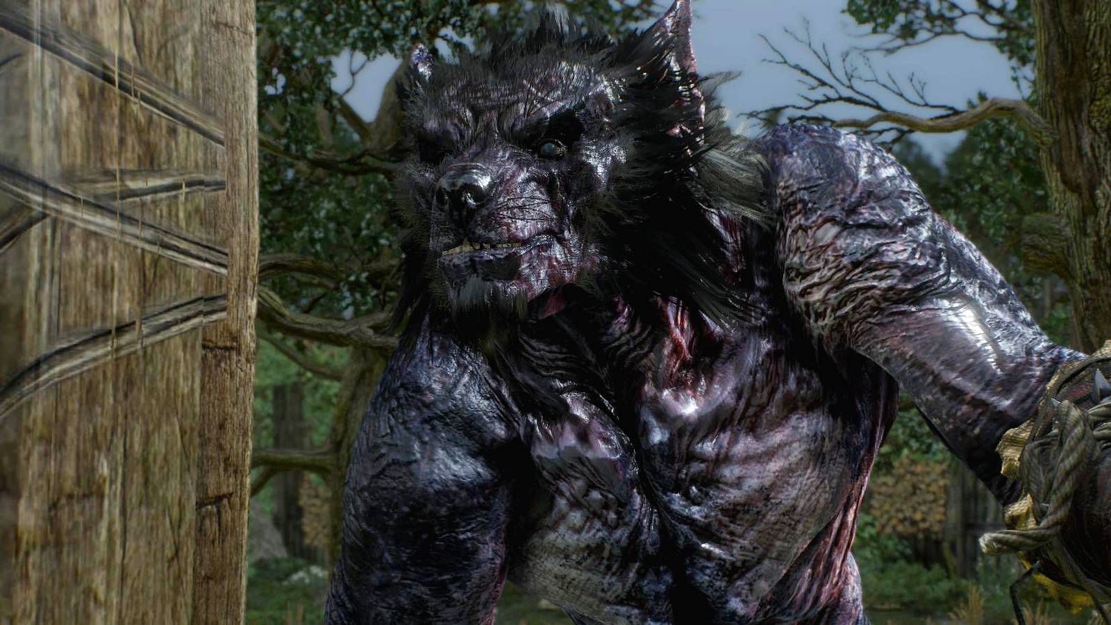 The Witcher 3 wild hunt werewolf closeup