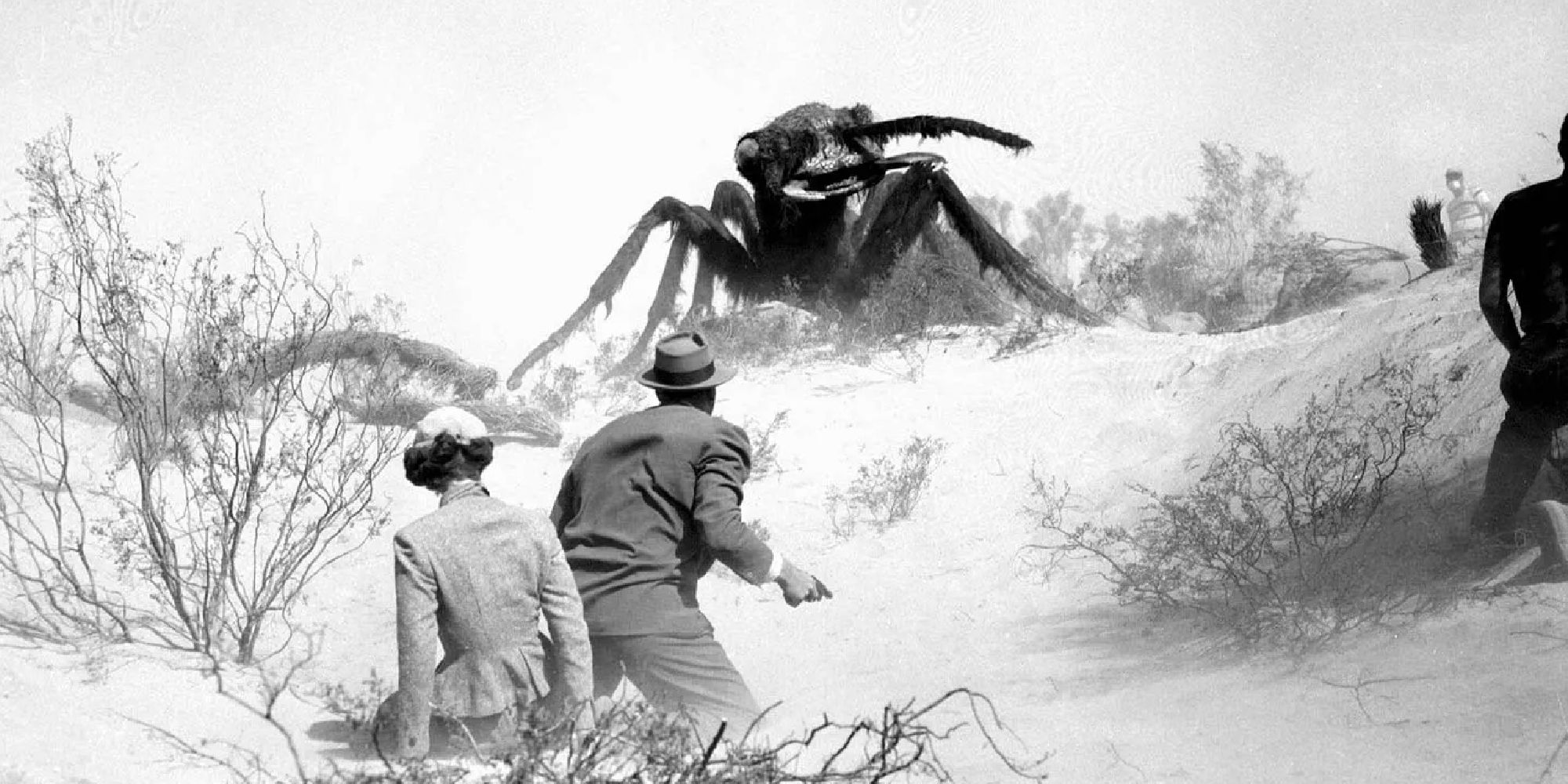 Several people facing a giant ant on a beach in Them! (1954)