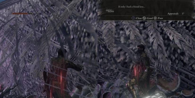 Using bleed on the sleeping dragon in Elden Ring