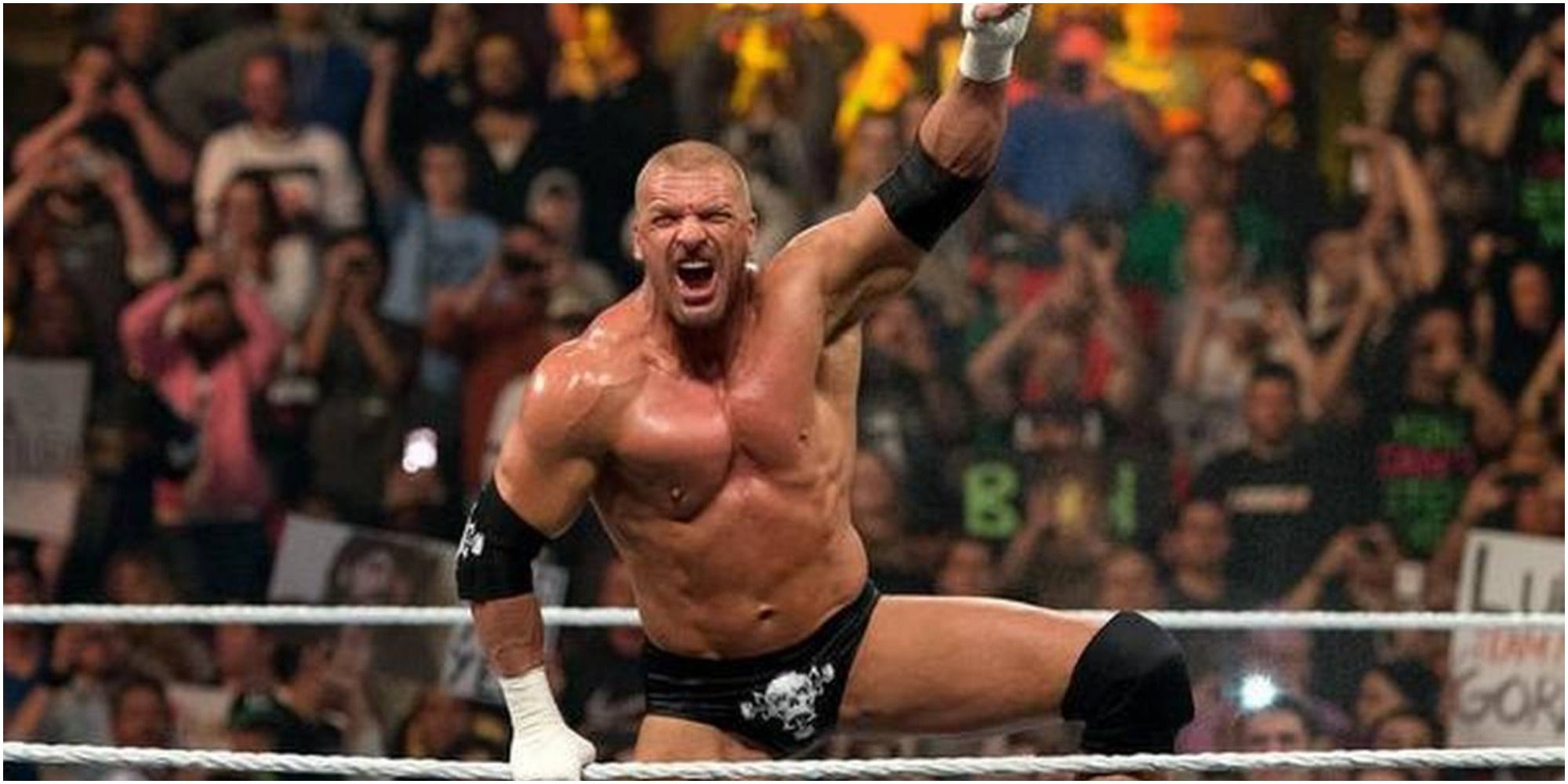 WWE Triple H in the ring
