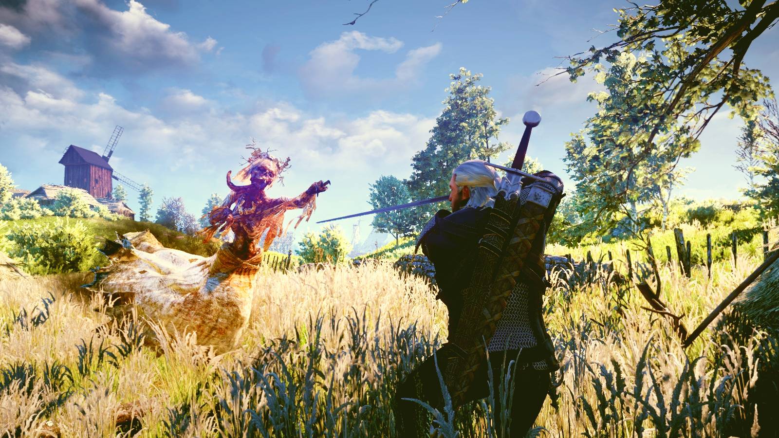 Witcher 3 Wild Hunt Geralt battling a Noonwraith field