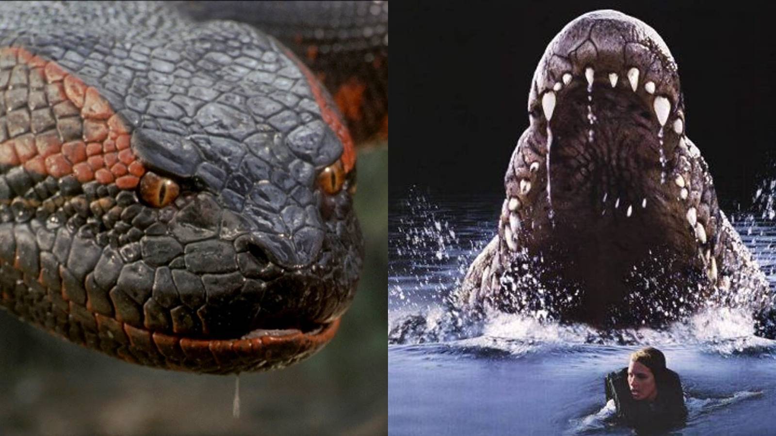 anaconda lake placid