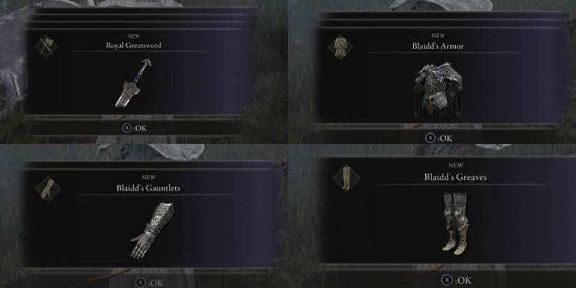 blaidd armor set drop in elden ring