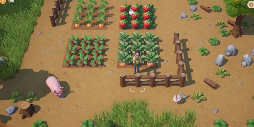 coral-island-farmer-near-crops-pig-and-chicken