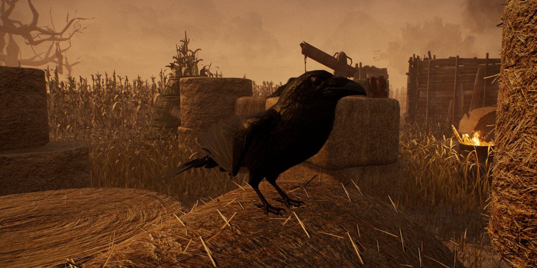 Crow Dead by Daylight