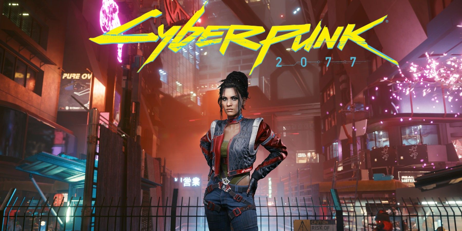 Cyberpunk 2077 Glitch Has Panam Carrying an Invisible Weapon