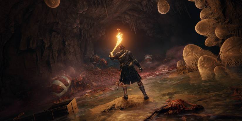 elden ring fringefolk hero's grave strat pot traps chariot