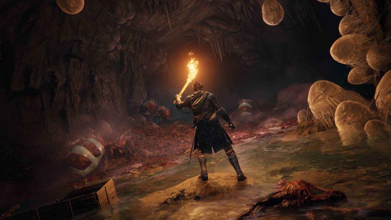 elden ring fringefolk hero's grave strat pot traps chariot