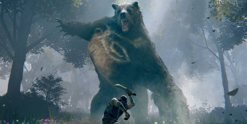 elden-ring-bear