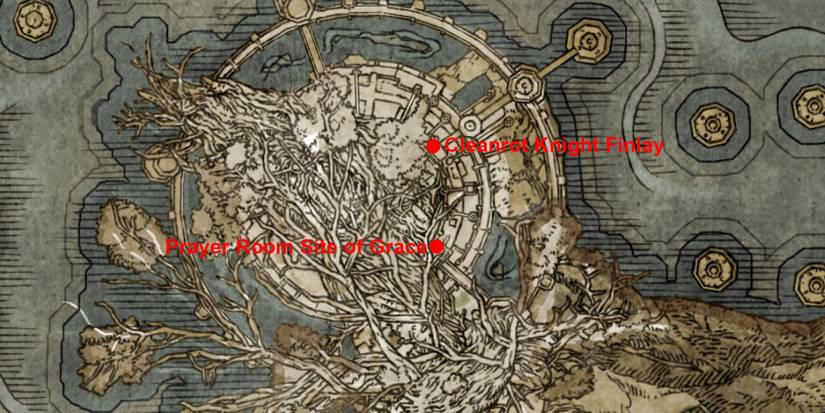 elden ring legendary spirit ash