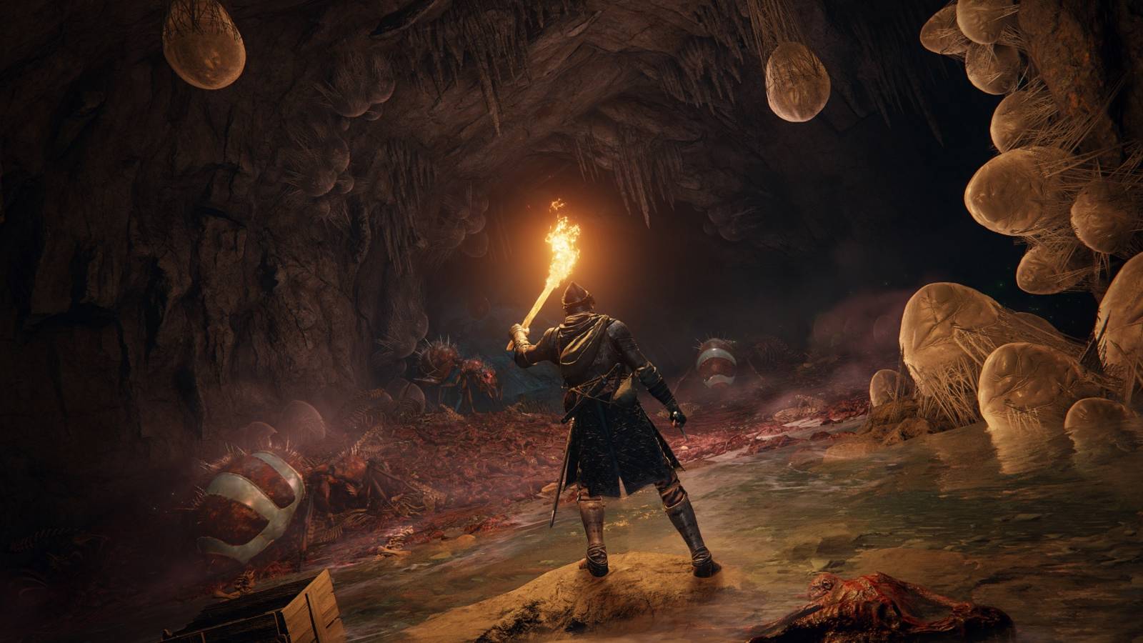 elden ring dark cave