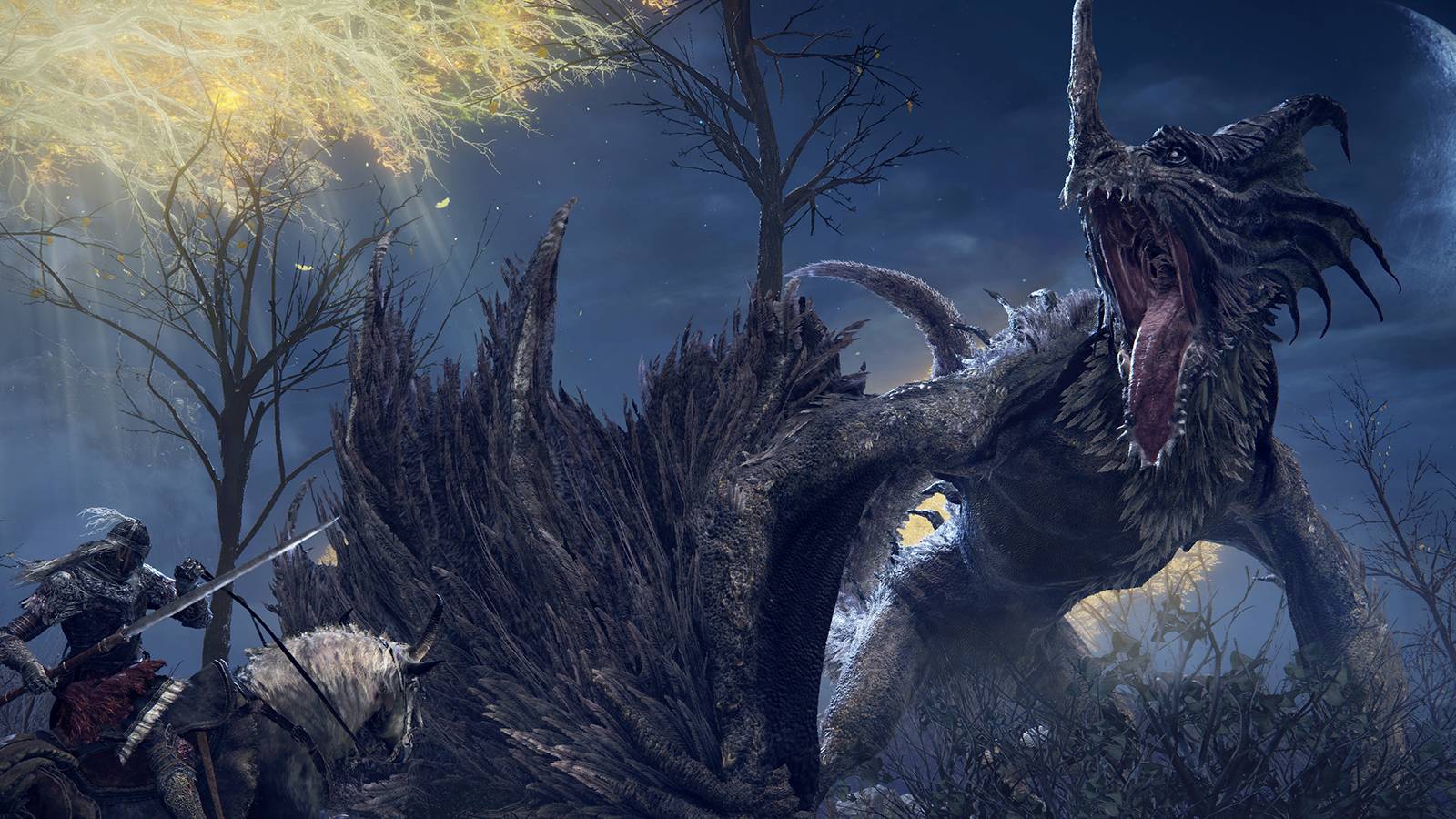 elden-ring-dragon-fight-agheel