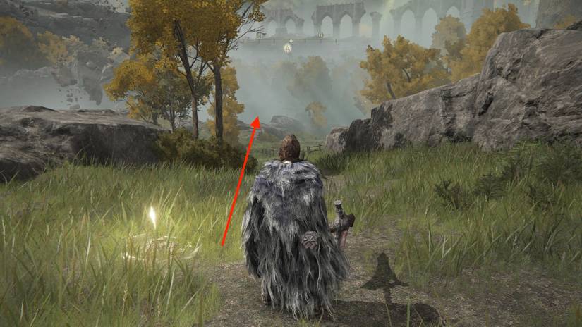 elden ring fort haight site of grace