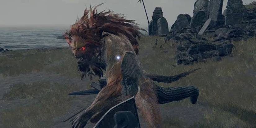 Player fighting Leonine Misbegotten in Elden Ring.