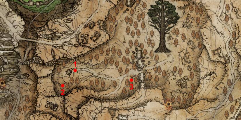 elden ring mirage rise phantom crest map