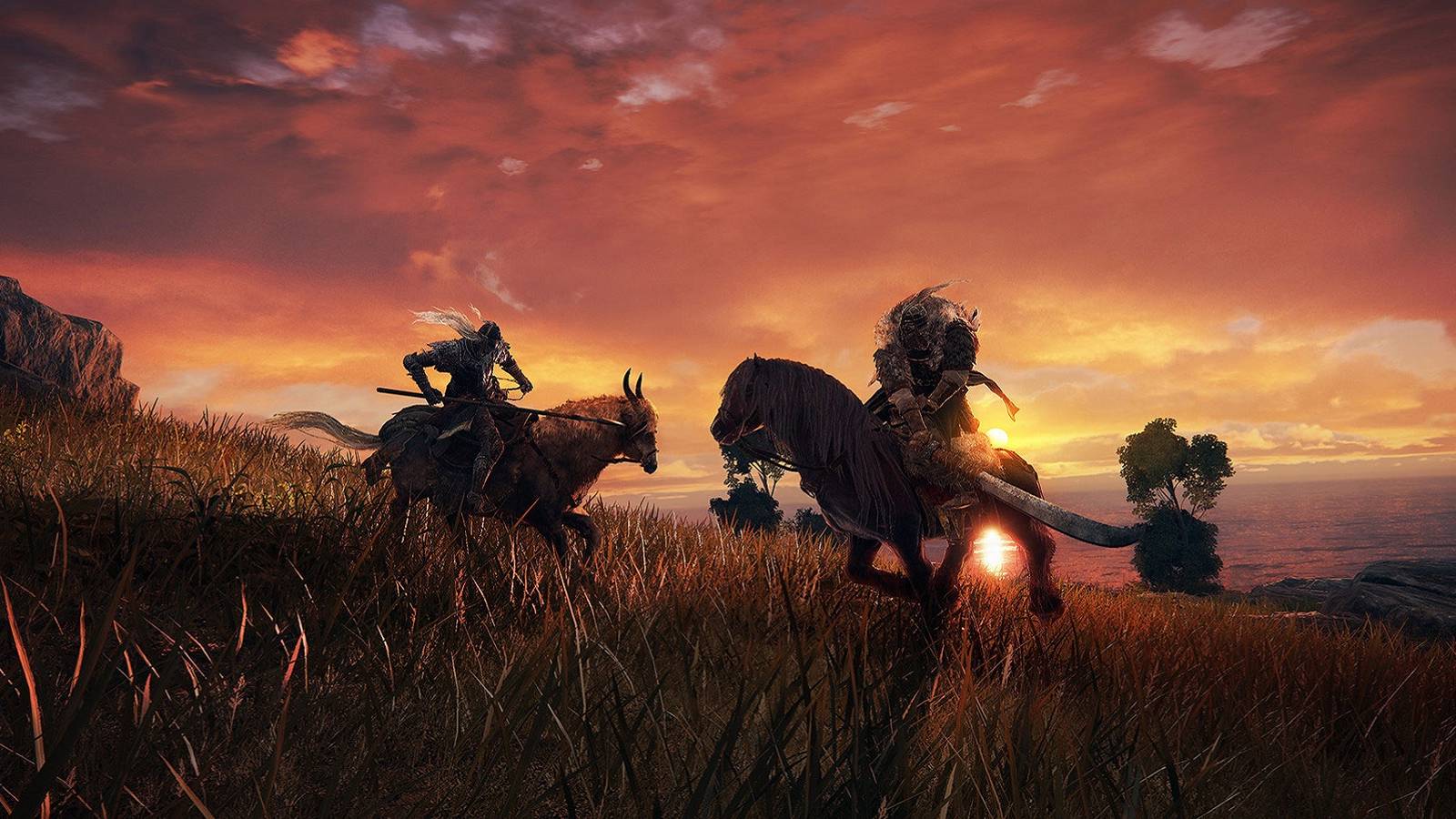 elden ring multiplayer