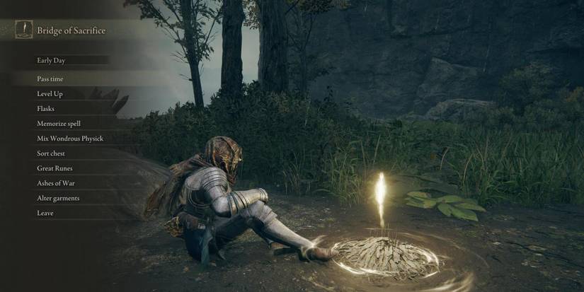 elden ring grace menu