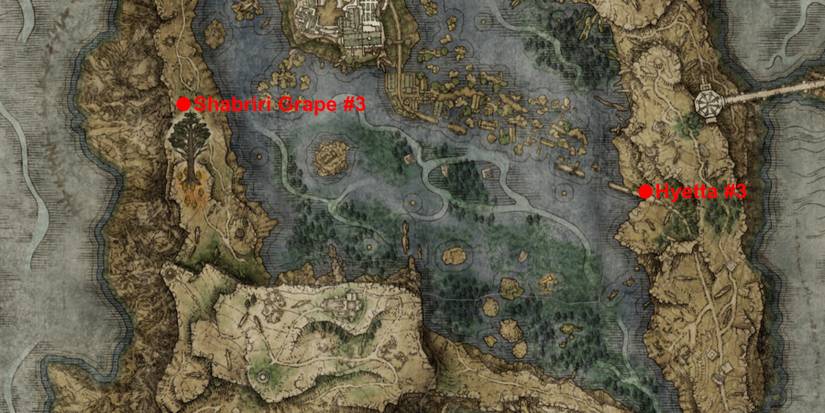 elden ring hyetta questline